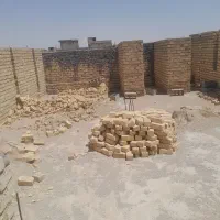 اسکلت