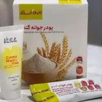 جوانه گندم