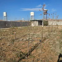 فروش باغشهری کودیان بدون اب و برق