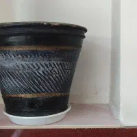 گلدان|گل و گیاه طبیعی|مریوان, |دیوار