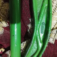 آچار شلاقی آلمانی اصلی قدیمی|کلکسیون اشیاء عتیقه|رباطکریم, رباطکریم|دیوار