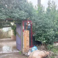 رهن و اجاره ویلا روستایی فریدونکنار مبله|اجارهٔ خانه و ویلا|فریدونکنار, |دیوار