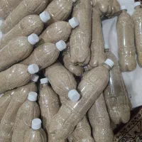 بذر کشاورزی