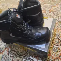 کفش مهندسی