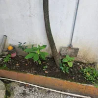 فروش خانه ویلایی در رشت