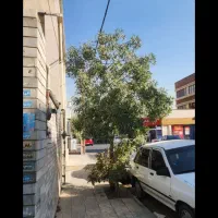 مسکونی۲۰۰متری- فروش بلواردهکده المپیک مرودشت جنوبی