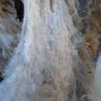 پشم فروشی|رختخواب، بالش، پتو|تبریز, |دیوار