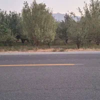 فروش باغ|فروش زمین و ملک کلنگی|رونیز, |دیوار