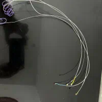 سیم ویولن دومینانت اصلی|ویولن|اصفهان, باغ دریاچه|دیوار