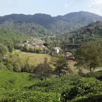 فروش فوری خانه ویلایی در لاهیجان روستای سطلسر