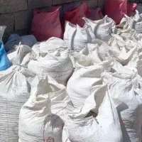 خرید و جمع اوری کود فضله کبوتر وحشی سوله شیروانی