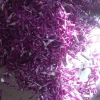 کاردستی چوب لباسی دست ساز|بندرخت و رختآویز|قزوین, |دیوار