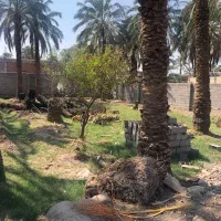 ۴۵۰متر زمین کاربری خانه‌باغی(بلوار بهشتی)