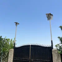 پخش و نصب دوربین مداربسته|دوربین مداربسته|نور, |دیوار