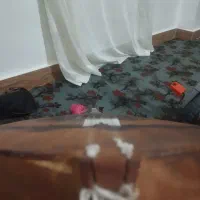 دوتار تربت|سازهای سنتی|انبارآلوم, |دیوار