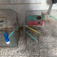 دو عدد قفس پرنده