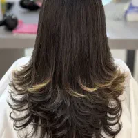 مدل رایگان برای کوتاهی مو|خدمات آرایشگری و زیبایی|لنگرود, |دیوار