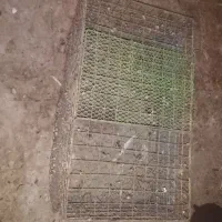 قفس مرغ پرنده