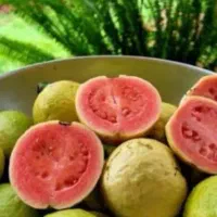 استخدام کارگر مرد نهالستان بهشت