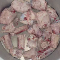 عصاره قلم گاو