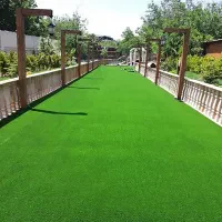 موکت چمن سبز یزد ـ مبلمان عمارت