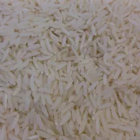 برنج دم سیاه درجه یک شمال
