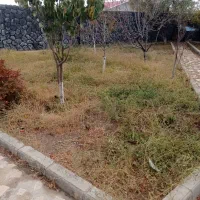 شخم زنی و خدمات باغی|خدمات باغبانی و درختکاری|صوفیان, |دیوار