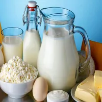 فروشنده خانم برای لبنیاتی