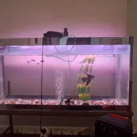 فروش آکواریم کامل