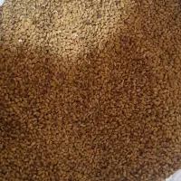 بذر یونجه رنجر آمریکایی|لوازم جانبی حیوانات|خانمیرزا, |دیوار