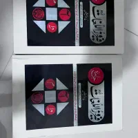 دو جلد فیروزاللغات اردو