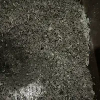 نیازمند کارگر