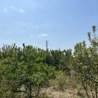 باغچه ۲۱۰۰ متر حصارمهتر دو کله با مجوز گلخانه|فروش زمین و ملک کلنگی|رباطکریم, حصار مهتر|دیوار