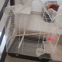 قفس پرنده