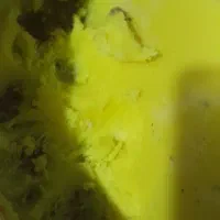 لبنیات محلی شرط خالص