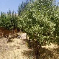 زمین-جعفراباد