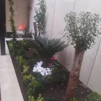 هرس کردن درختان منزل وباغ خودرابه مابسپارید|خدمات باغبانی و درختکاری|شیراز, ارم|دیوار