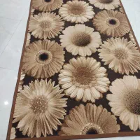 گلیم گونه