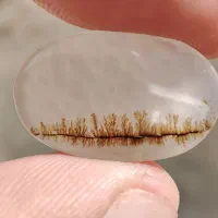 نگین انگشتر شجر درختان ردیفی