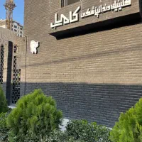 عصب کشی دندانپزشکی لمینیت ایمپلنت کامپوزیت