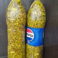 ترشی بنه