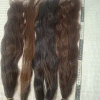 خرید و فروش مو طبیعی در پردیس