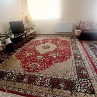 فروش فرش ۱۲ متری جفت