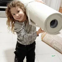 قالیشویی شاهان شستشو با اب گرم و تضمینی