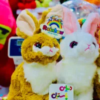 عروسک کادویی|اسباب‌‌بازی|زاهدان, |دیوار