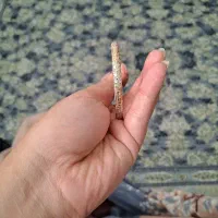 النگو سایز ۱ کاملا نو و بدون استفاده
