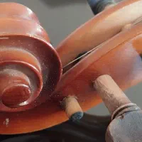 ویولن جوزپ گوارنری|ویولن|تبریز, |دیوار