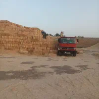 پرس‌کاه‌|عمده‌فروشی|چناران, |دیوار