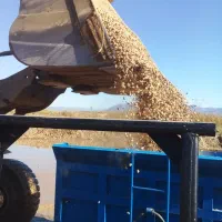 حمل ماسه با تریلی 12تنی