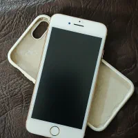 اپل IPhone 8 با حافظه 256 گیگ|موبایل|چالوس, |دیوار